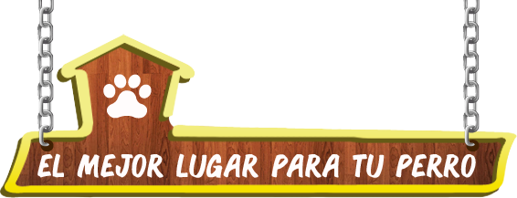 About Us - Hotel (566x217), Png Download