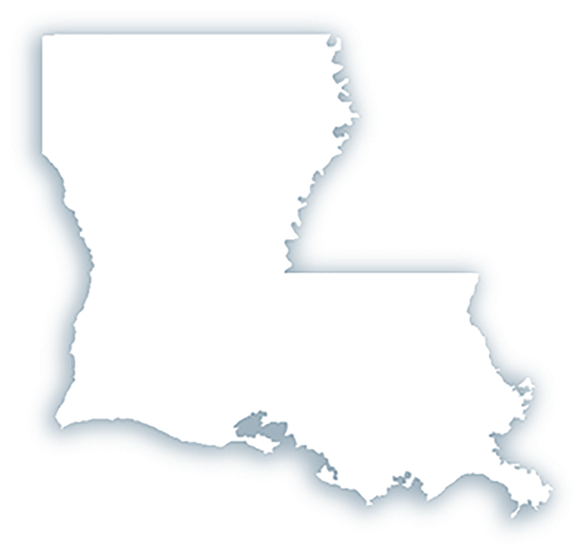 8-2xlouisiana Shadowed Member - Louisiana Shape (728x660), Png Download
