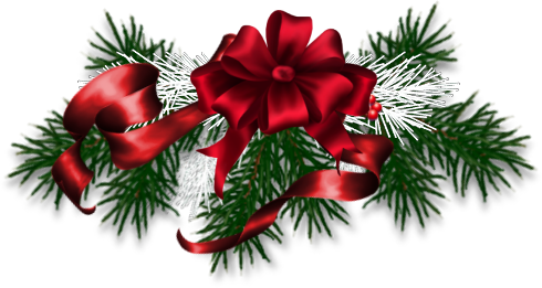 Christmas Branches - Christmas Ornament (490x261), Png Download
