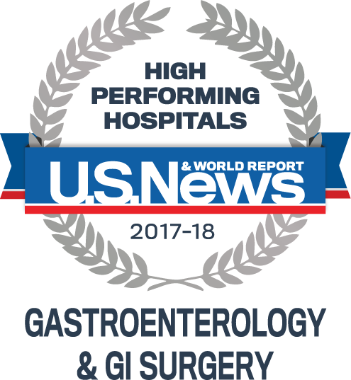 News & World Report High Performing Badge - Us News And World Report Ad High Performing (495x537), Png Download