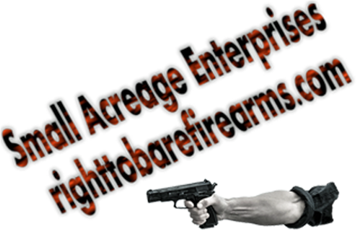 Springfield Armory Xd Mod2 45 Acp 4″ Service Pistol - Business (768x480), Png Download
