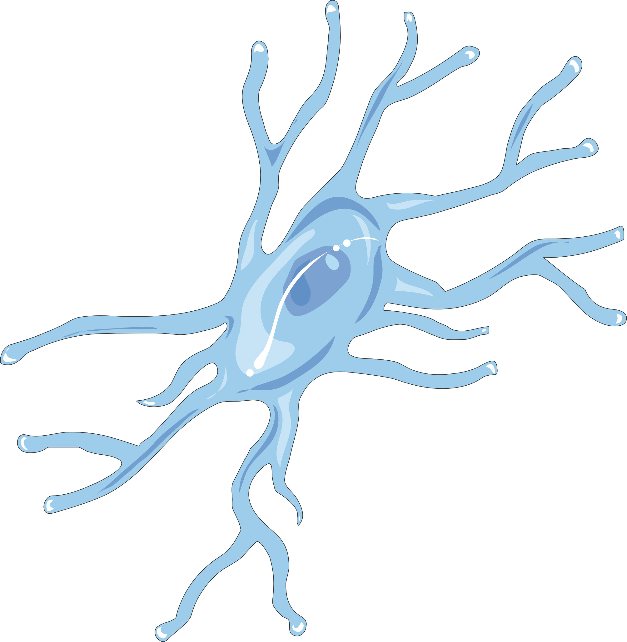 Microglia Reduce The Effect Of Cocaine In The Brain - Microglia Drawing (2007x2056), Png Download