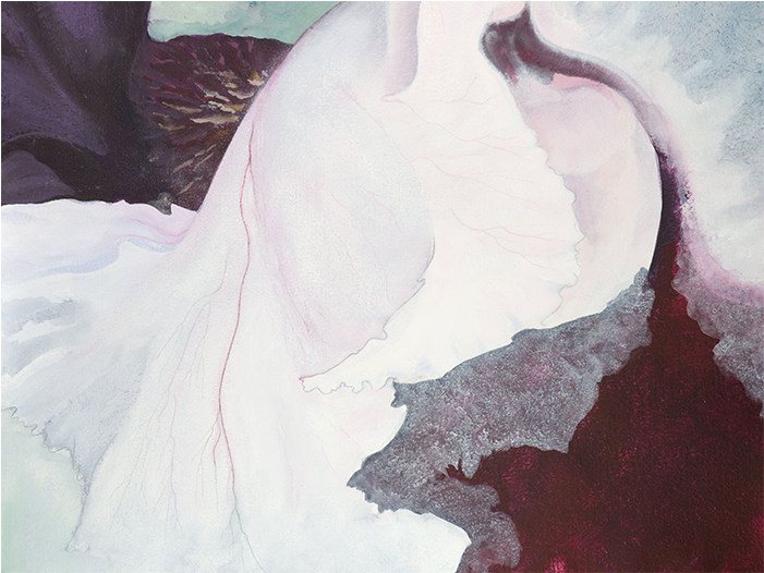 Buy Aralen - Still Life (700x700), Png Download