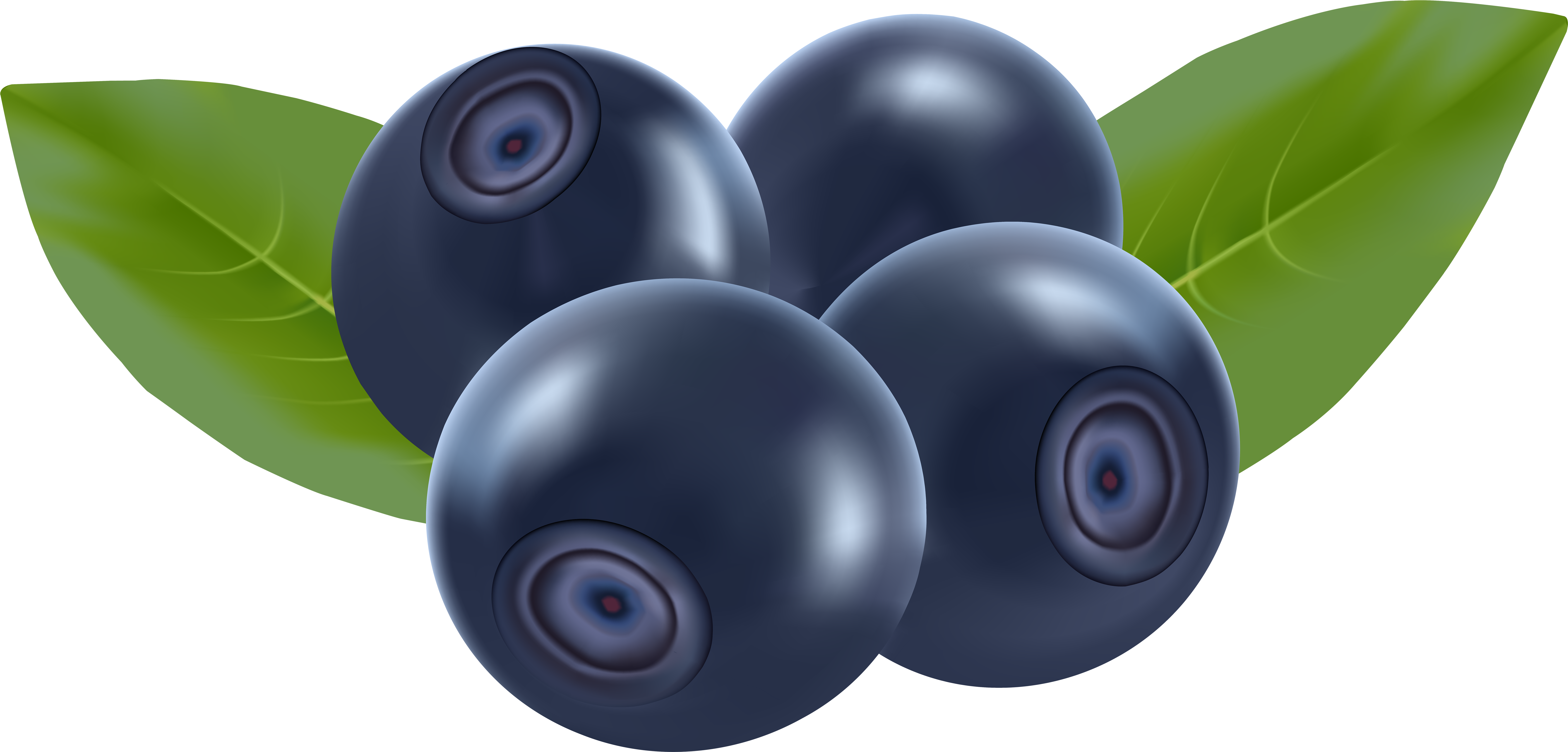 Image Transparent Stock Clipart Pile Free On Dumielauxepices - Blueberries Clipart Png (8000x3870), Png Download