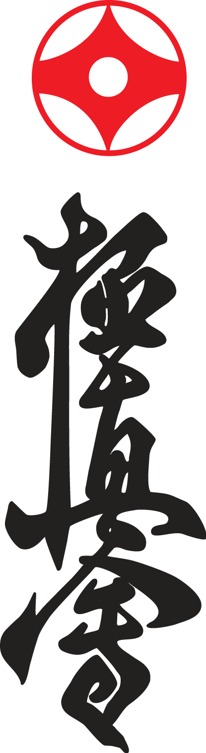Kyokushin Karate Logo And Symbol - Kyokushin Karate Logo (415x1518), Png Download