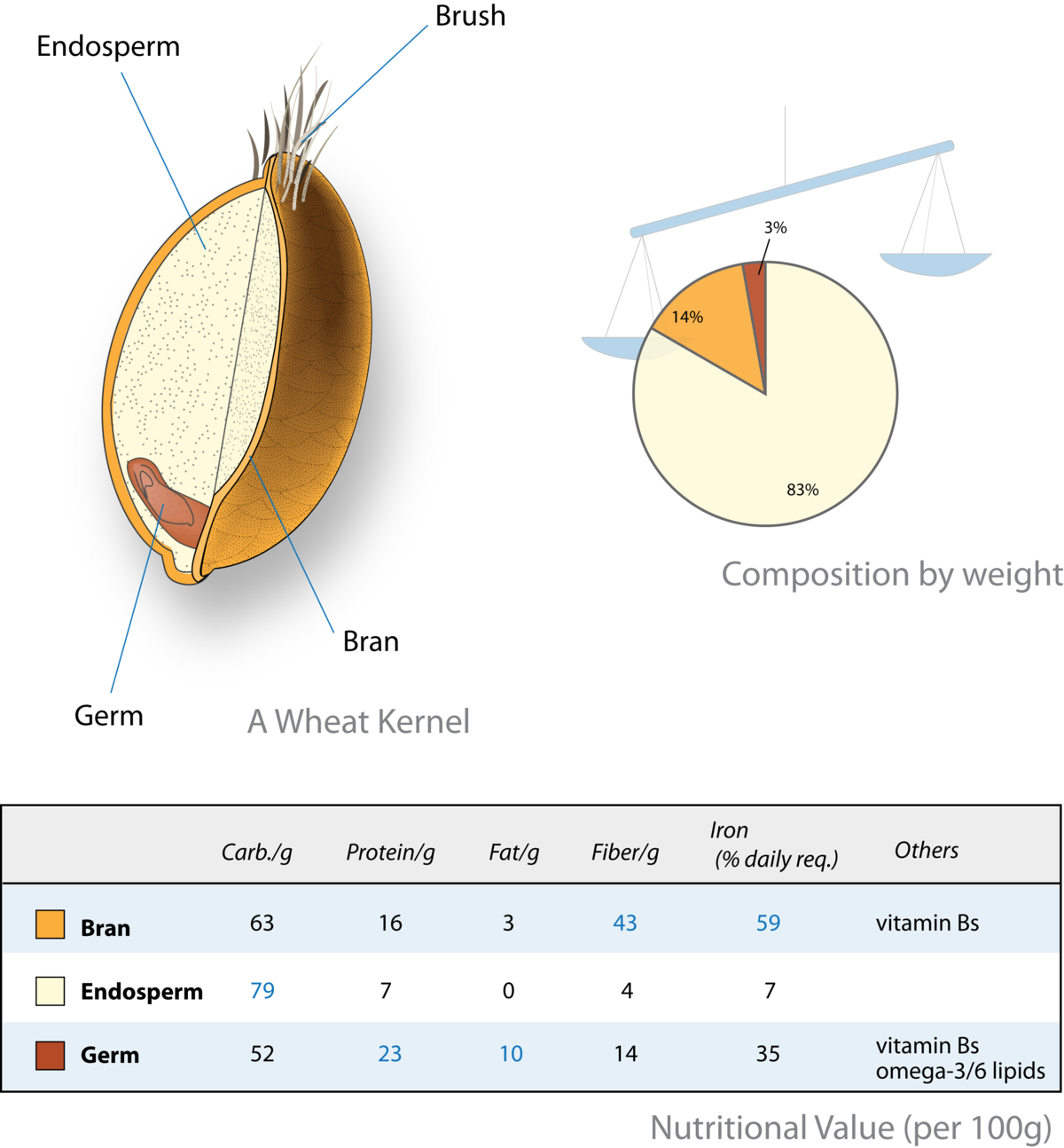 Germen De Trigo Composicion (1200x1294), Png Download