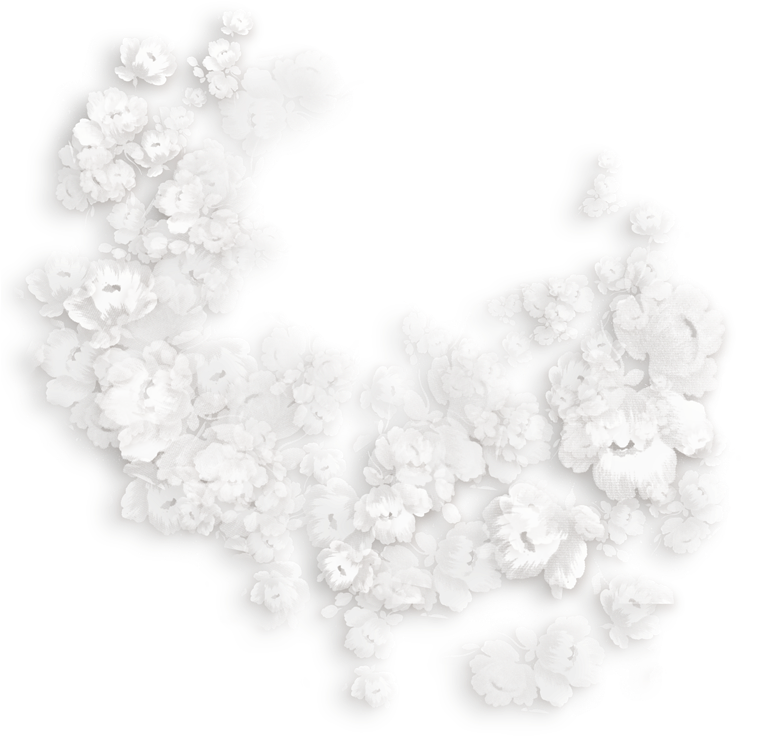 Transparent White Flowers Decoration - White Decoration Transparent (757x769), Png Download