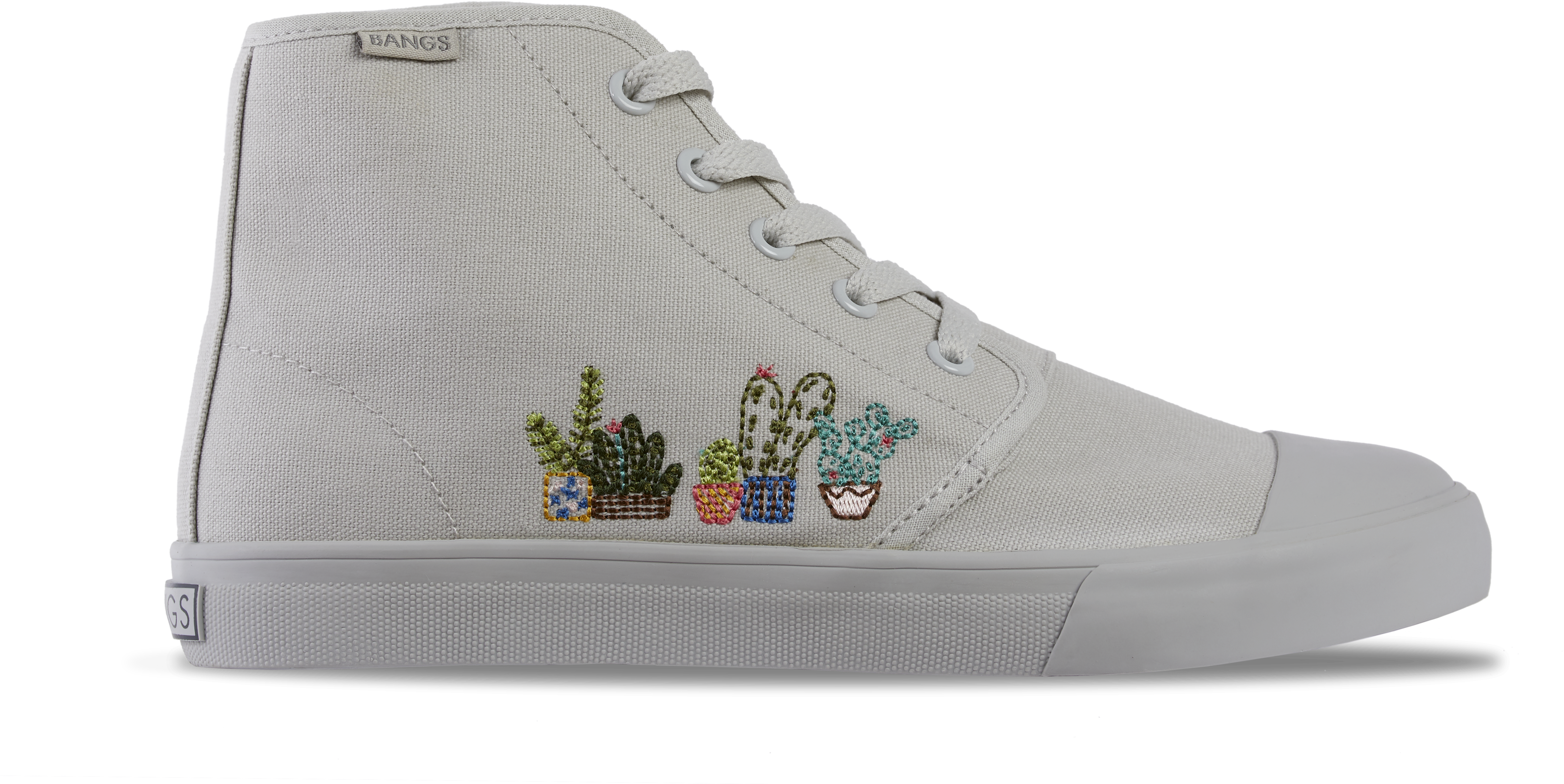 London Fog Succulent Ht (5452x3634), Png Download