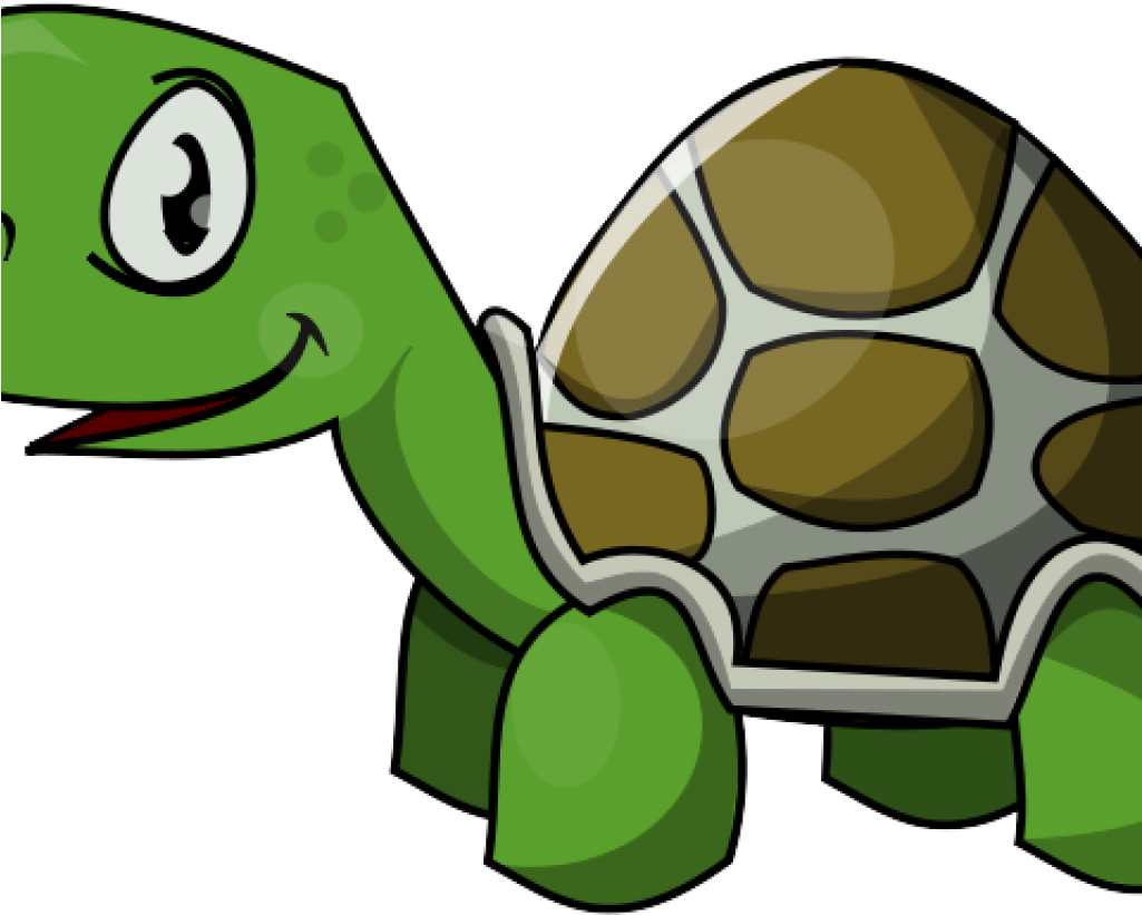 Turtle Clipart Clipart Hatenylo - Turtle Clipart (1024x1024), Png Download