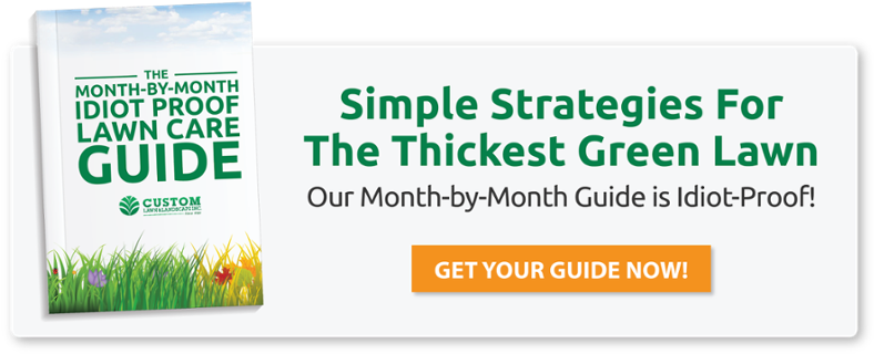 Free Month By Month Lawn Care Guide - Lawn (825x352), Png Download