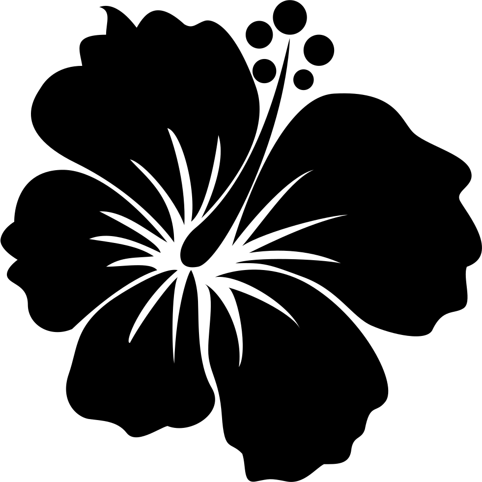 Png File Svg - Hawaii (981x980), Png Download