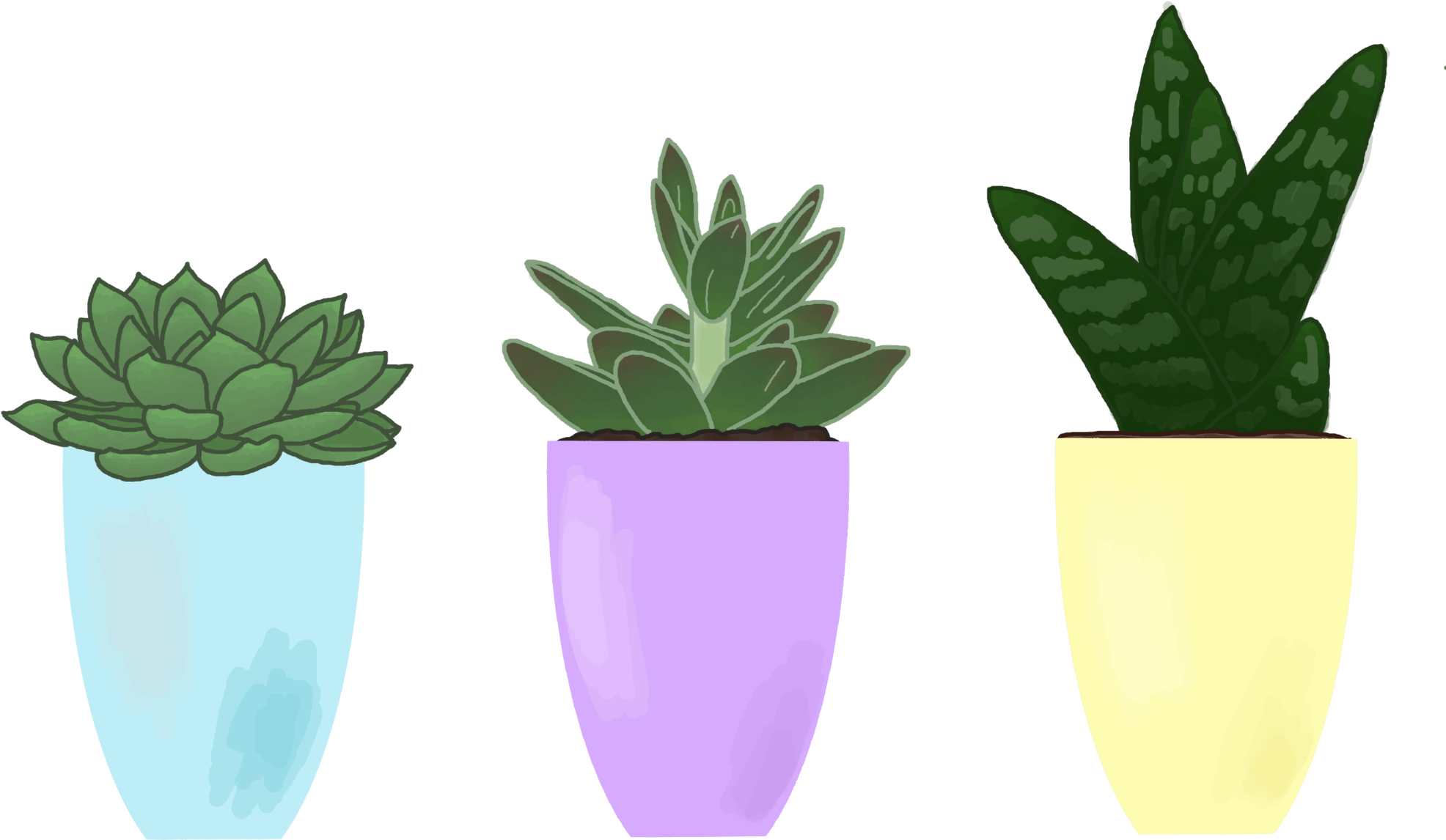 Succulent Stickers - Succulent Plant (2000x1280), Png Download