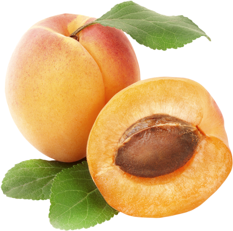 Apricots Png Clipart Best Web Clipart - Rex Orange County Apricot (812x803), Png Download