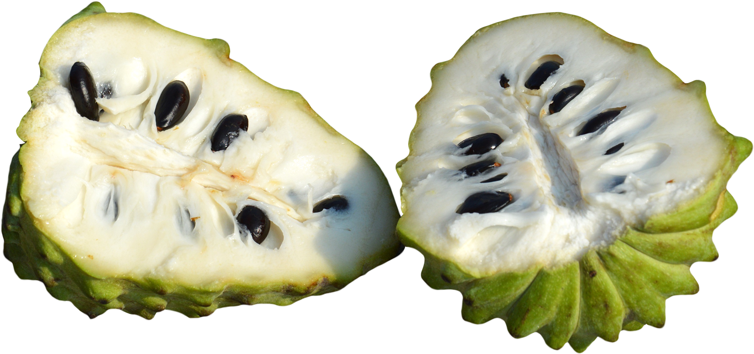 Custard Apples Sliced Png Image - Custard Apple Fruit Png (1554x752), Png Download