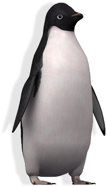 Adopt A Penguin - Adelie Penguin Png (320x480), Png Download