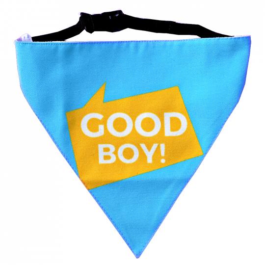 Bandana - Kerchief (540x540), Png Download