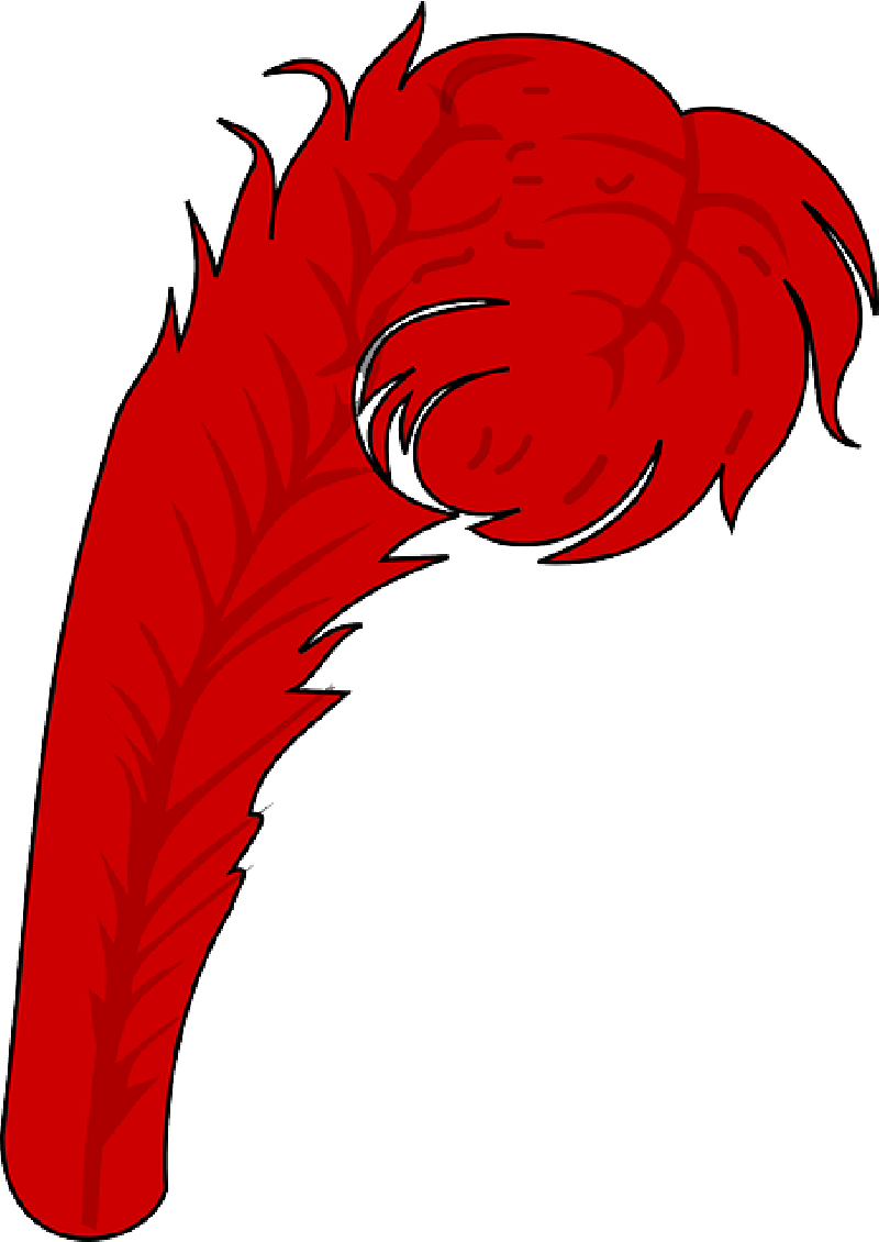 Mb Image/png - Coat Of Arms Feathers (800x1130), Png Download