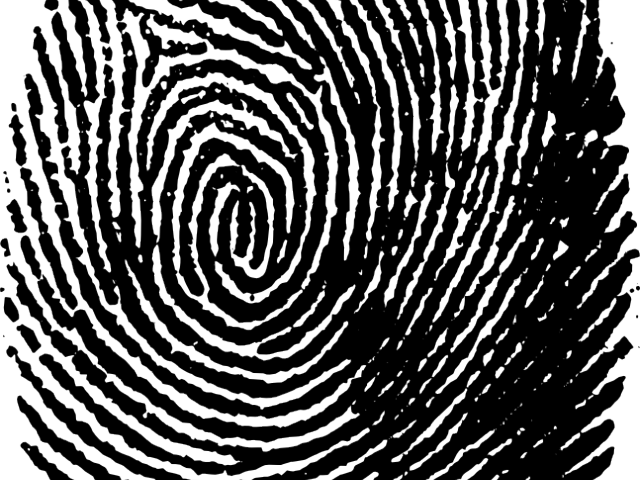 Fingerprint Png Transparent Images - Huellas Dactilares Fondo Transparente (640x480), Png Download