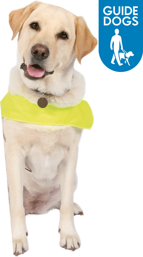 Pet Fresh - Remove Odours And Stains Caused (290x518), Png Download