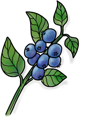 Wild Blueberry - Portable Network Graphics (452x452), Png Download