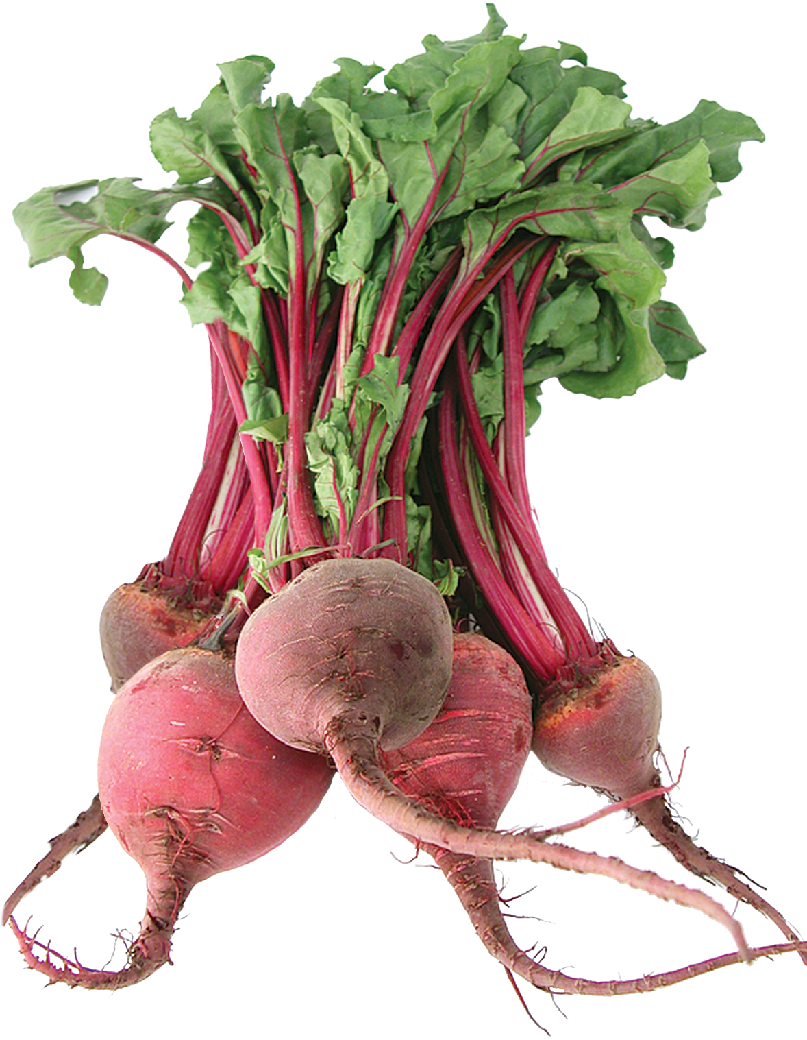 Beets With Roots (1181x1575), Png Download