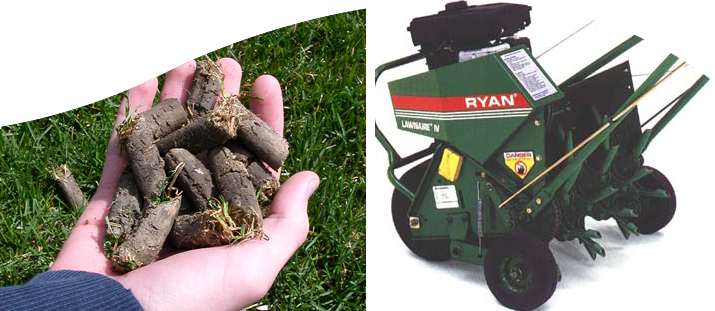 Header-shrub - Lawn Aeration Plugs (715x311), Png Download
