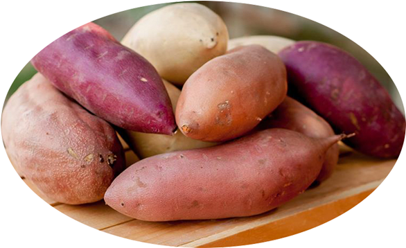What's The Difference Between A Sweet Potato And A - Purple Transparent Sweet Potato (643x374), Png Download