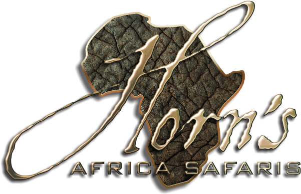 Horns Africa Safaris - Safari (600x434), Png Download