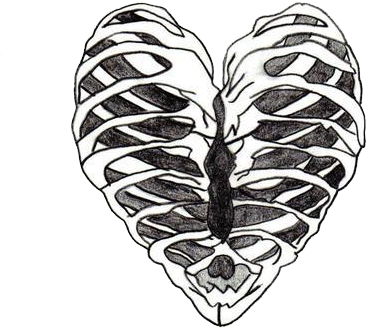 Art, Artistic, Beauty, Brain, Cool, Drawing, Drawings, - Skeleton Heart Drawing (500x514), Png Download