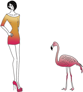 Flamingos - Greater Flamingo (450x450), Png Download