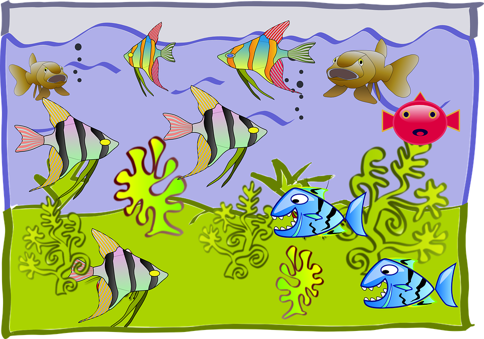 Drawing Of Fish Tanks Clipart Goldfish Aquarium Clip - Aquarium With Fish Clipart (900x630), Png Download