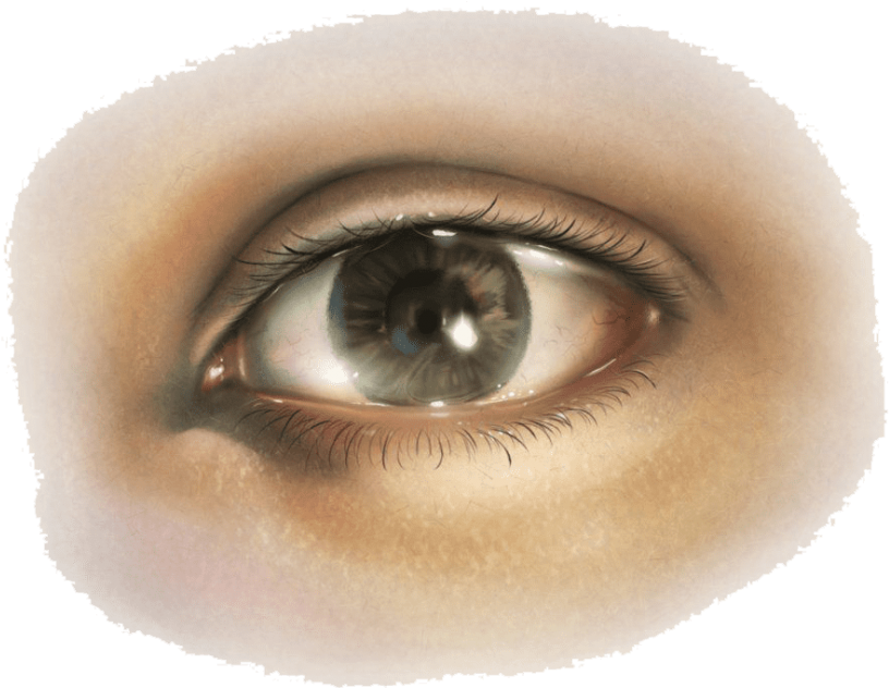 Free Png Eye Png Images Transparent - Human Eye Png (850x806), Png Download