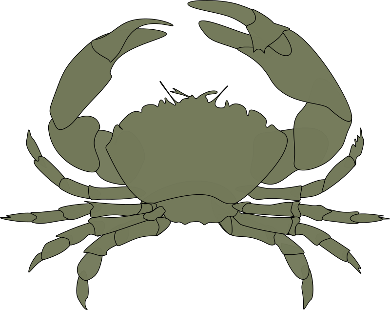 Free Clipart - Crab Clipart (800x635), Png Download
