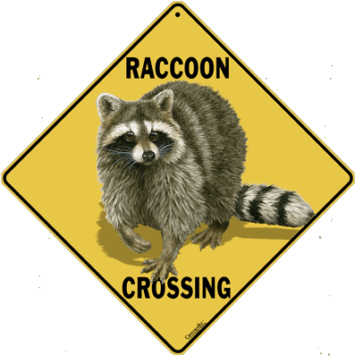 Raccoon Crossing - Crossing Sign (420x420), Png Download