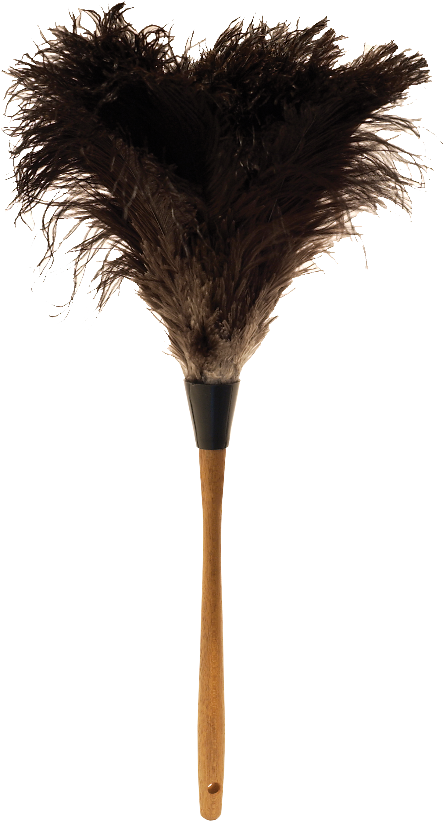 Ostrich Feather Png - Ostrich Feather Duster Png (1500x2908), Png Download