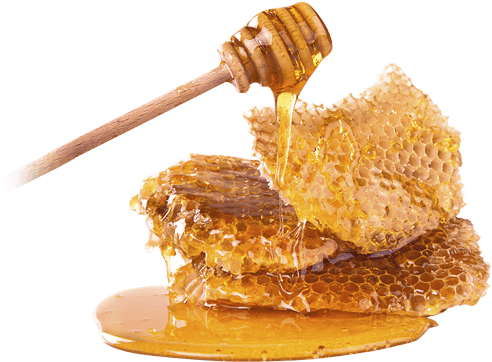 Honey Flavours - Honey Png (500x373), Png Download