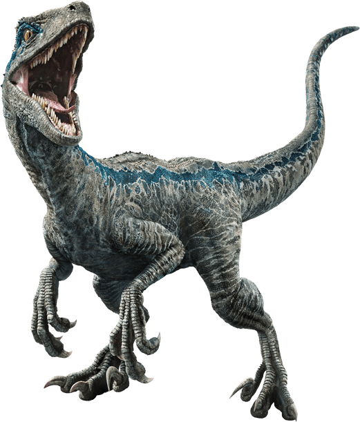Download Jurassic World Fallen Kingdom Blue V3 By Sonichedgehog2 Dc9x53o Velociraptor Blue Full Size Png Image Pngkit