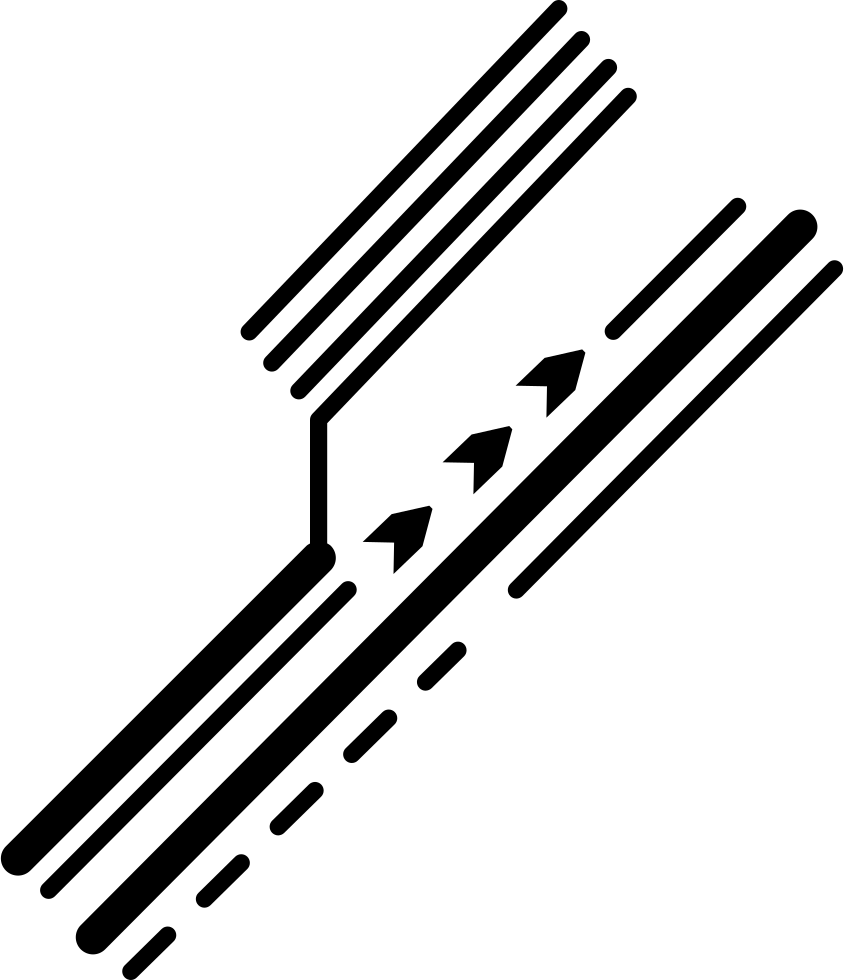 Electronic Printed Circuit Detail Of Diagonal Lines - Lineas De Circuitos Png (844x980), Png Download