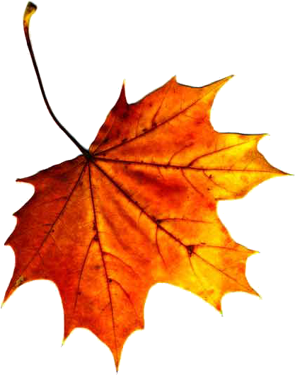 Fall Leaves Clip Art Clipart - Equinoccio By Abraham Serrano 9781516805488 (paperback) (443x555), Png Download