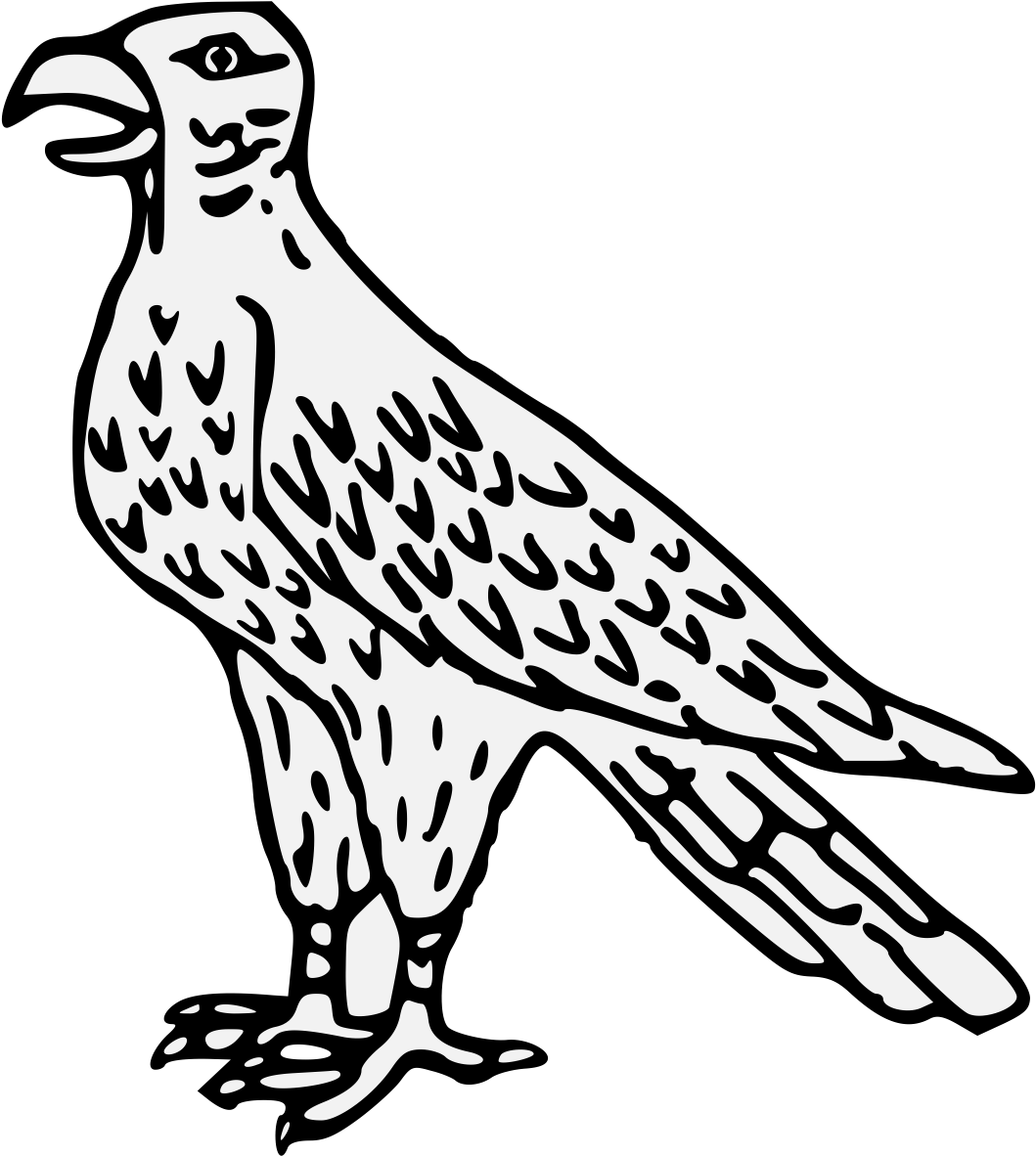 Details, Png - Falcon (1068x1211), Png Download