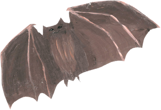 Bat - Vampire Bat (533x363), Png Download