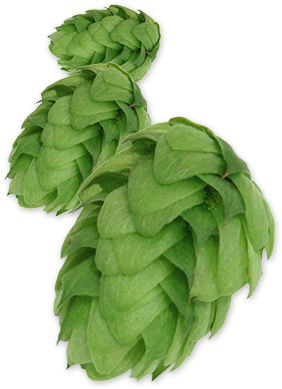 Crystal Pellet Hops Michigan Grown - Expired Spinach (300x400), Png Download