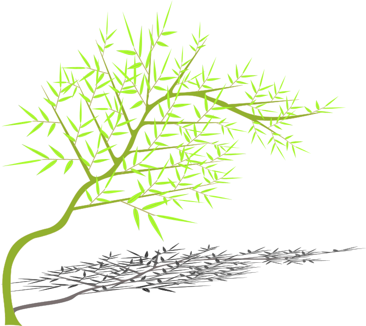 Portable Network Graphics (800x800), Png Download