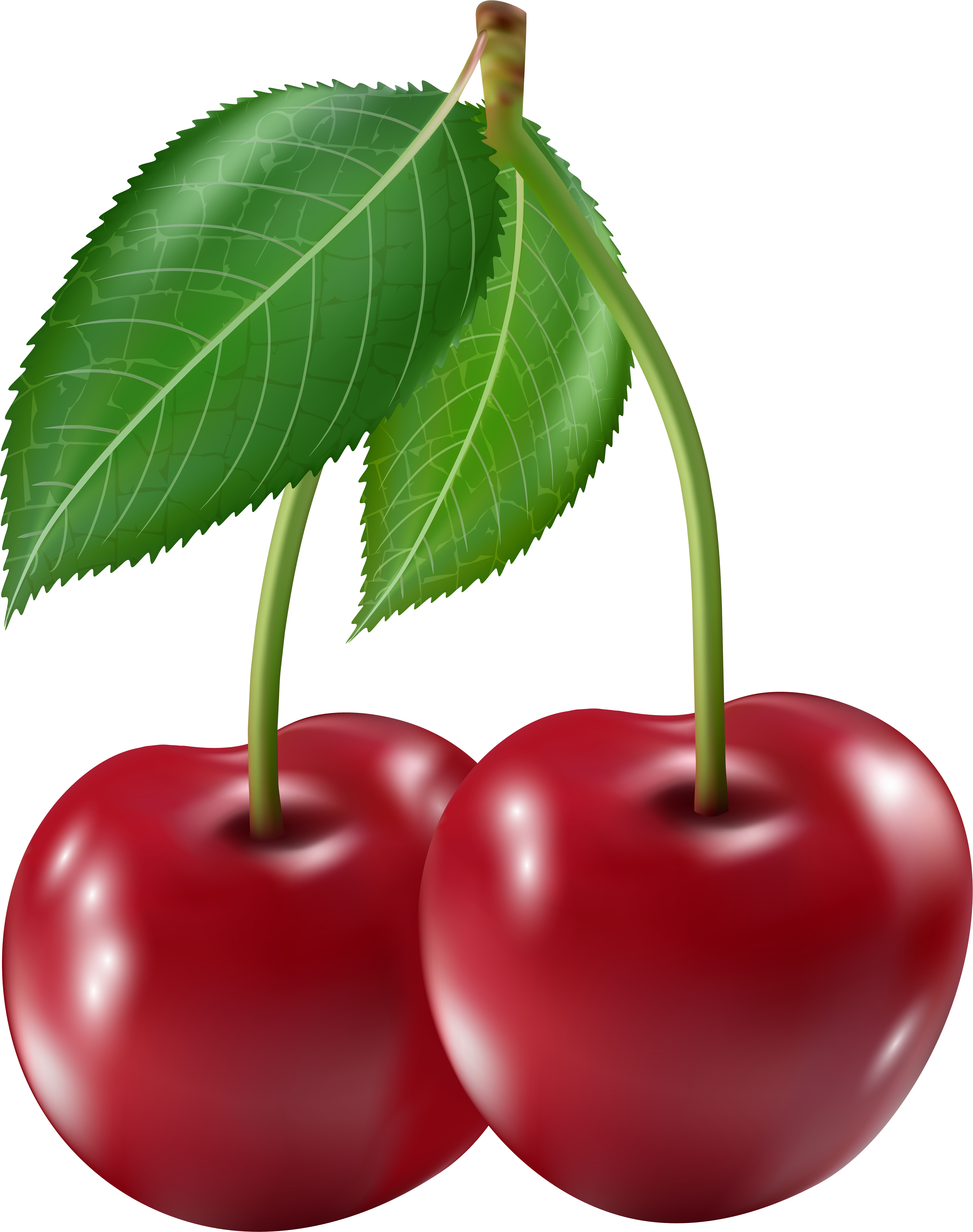 Clip Art Png Image - Cherry (4795x6000), Png Download