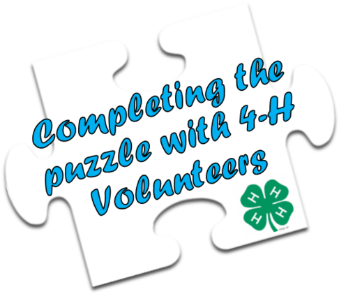 2018 4-h Volunteer Project Training For Teens & Adults - 4-h (700x651), Png Download