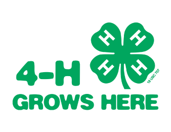 4-h Grows Here - 4 H Grows Here (504x288), Png Download