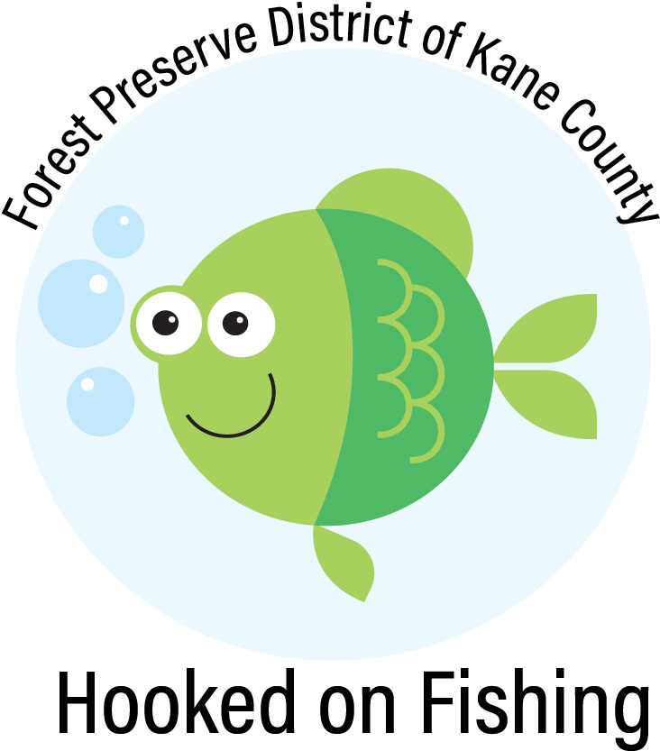 Additional Details - Vector Graphics (762x848), Png Download