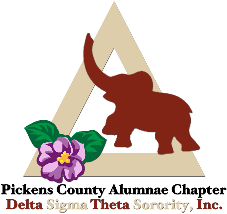 Picture - - Indian Elephant (800x800), Png Download