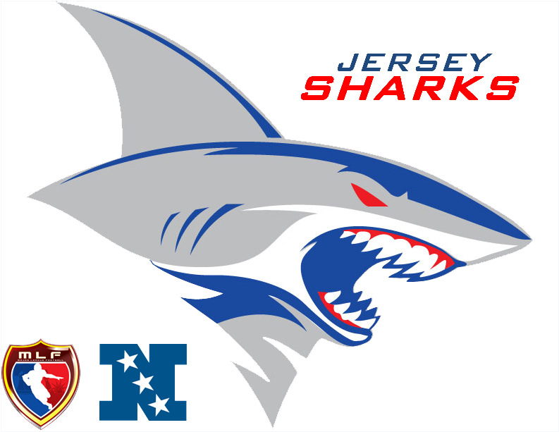 Jerseysharks11 - Great White Shark (960x720), Png Download