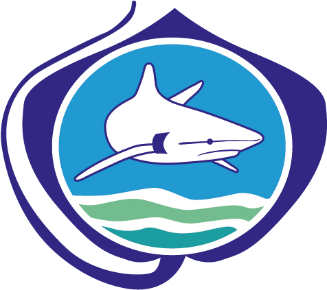 Himbers Bring Home Awards From The 2018 Sharks International (549x479), Png Download